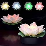 ロータス～蓮花 はすはな～