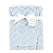 Hudson Baby Unisex Baby Plush Blanket, Herringbone, One Size