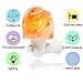 Salt Lamp,Salt Night Light,Natural Himalayan Salt Rock Lamps,Salt Wall Lamp Plug in,Mini Hand Carved Crystal Night Light,Used for Lighting,Decoration UL-Approved Plug