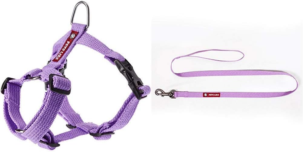 PetsLike Full Harness and Leash, Purple, Small