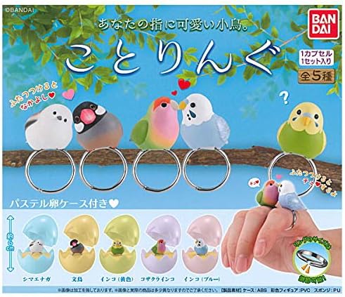 Amazon ことりんぐ 全5種セット フルコンプ ガチャガチャ カプセルトイ カプセル玩具 おもちゃ