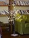 LIGHTSHARE Snow Dusted Tree with Warm White LED Lights, Brown, for Indoor and Outdoor, Christmas Decoration Idea (4FT)
