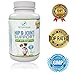 PetSupercare Hip and Joint Supplement with Chondroitin, MSM and Vitamins for Dog’s Arthritis Pain Relief, 120 Chewable Beef Flavor Tablets