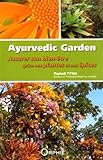 Image de Ayurvedic garden : Rencontre avec des plantes remarquables
