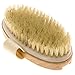 Spa's Premium Body and Face Exfoliating Set with Detachable Handle Body Brush, Face Brush & Exfoliating Glove - Premium Boar Bristles for Dry Brushing