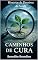 Livro Caminhos de Cura : Histórias de Detetives da Saúde