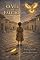 Livro O Véu e o Falcão (Beatriz Contempla Livro 1)