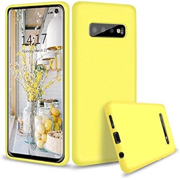 Amazon.com: Galaxy S10+ Case, Wisdompro Bundle of 5 Pack