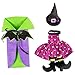 DII Decorative Halloween Wine Bag/Bottle Cover Tabletop Party Decor Or Fall Hostess Gift, Purple Bat, 2 Count