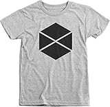Destiny - Titan Boys Tri-blend T-shirt