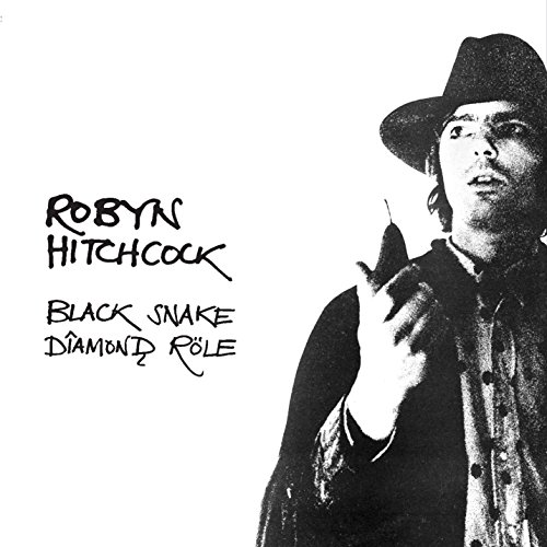 Robyn Hitchcock - Raining Twilight Coast Lyrics - Zortam Music