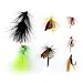 LotFancy 20 Pcs Fly Fishing Flies, Dry/Wet Flies, Nymph Flies, Wooly Bugger Flies, Streamers, Emergers, Caddis Fly Assortment for Trout Bass Salmon