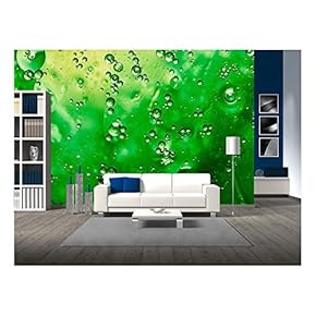 Organic Green - Removable Wall Mural | Self-Adhesive Large Wallpaper - 66x96 inches