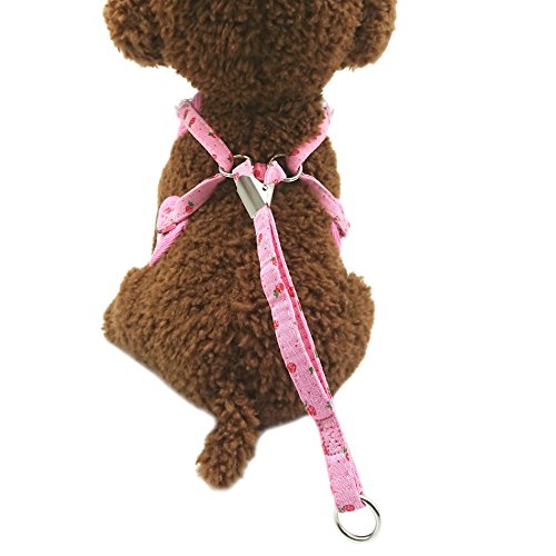 M2cbridge Small Dog Harness Leash Leads Set Step-in Soft Mesh Vest Cat Collar (M, Pink)