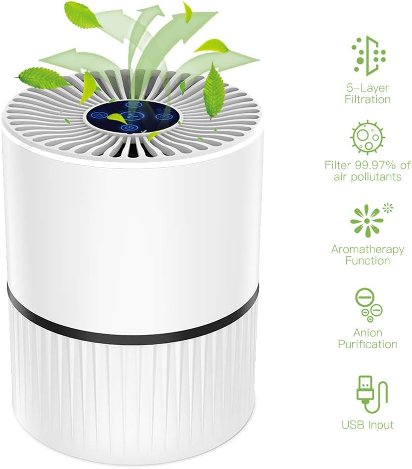 purificatori d'aria per spore di muffa filtro lavabile