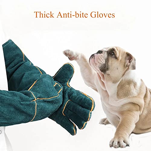 23.7 inch Animal Handling Gloves, Bite Proof Kevlar Reinforced Leather