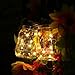 Solar Mason Jar Lights, Adecorty Outdoor Hanging Lights 2 Pack 20 LED String Fairy Star Firefly Jar Lights (Jars & Hangers Included) Warm White Waterproof Solar Lanterns for Garden Patio Outdoor Decor