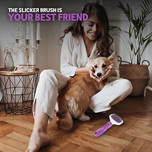 Poodle Pet Slicker Brush for Small and Large Dogs Pet Hair Remover with Rotating Head | Effectively and Effortlessly… - Image 7