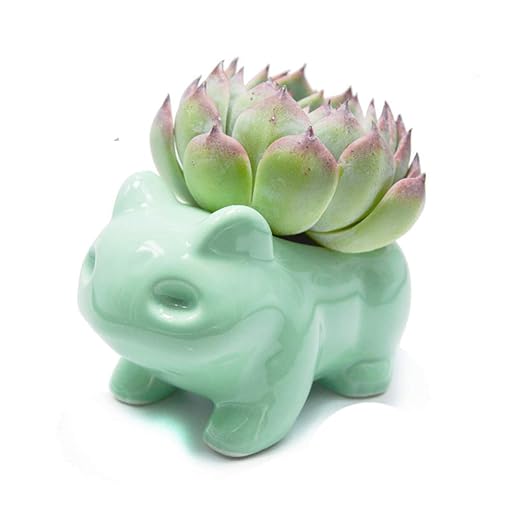 Mengcat Diy Pot De Fleurs Cartoon Pots Dart En Céramique