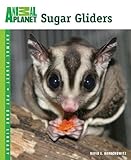 Sugar Gliders (Animal Planet® Pet Care Library)