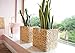 StorageWorks Wicker Baskets for Storage with Liners, Water Hyacinth Storage Baskets for Organizing, Handwoven Wicker Storage Cubes, Medium, 2 Pack