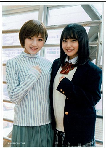 AKB48 ジャーバージャ ヤマダ電機 店舗特典外付け生写真 岡田奈々 向井 