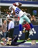 Dez Bryant Dallas Cowboys 2013 NFL Action Photo 8x10