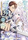 聖女ヴィクトリアの考察 アウレスタ神殿物語 第2巻