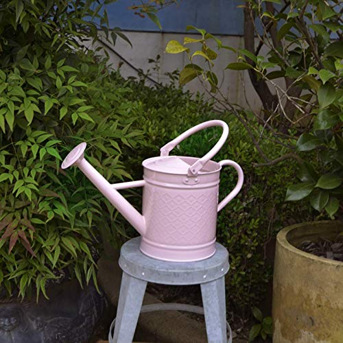HORTICAN 1 Gal Galvanized Steel Watering Can Decorative Farmhouse Style Watering Can, Removable