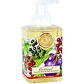 Michel Design Works Foaming Hand Soap, Currant, 17.8 Fluid Ounce