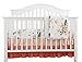 Sahaler Baby Crib Bedding Set for Boy Girls, Nursery Fitted Sheets Baby Minky Blanket Crib Kids Protective Pad Sets(Feather Floral 3pc Set)