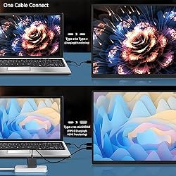 Portable Monitor 18.5 Inch 120 Hz 1080P 100% sRGB