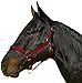 Intrepid International Safety Breakaway Horse Halters with Leather Crown