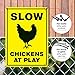 Chicken Crossing Sign, Slow Chickens at Play Sign, Chicken Coop Sign Funny, 10x14 Rust Free Aluminum, Weather/Fade Resistant, Indoor/Outdoor Use, Made in USA by SIGO SIGNS