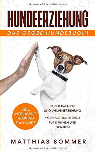 Amazon Fr Hundeerziehung Das Grosse Hundebuch Hundetraining Und Welpenerziehung Inkl Intelligenztraining Fur Hunde Geniale Hundespiele Fur Drinnen Und Draussen Sommer Matthias Lehmann Jonathan Livres