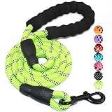 BAAPET 5 FT Strong Dog Leash with Comfortable Padded Handle and Highly Reflective Threads for Medium and Large Dogs (Green)
