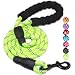 BAAPET 5 FT Strong Dog Leash with Comfortable Padded Handle and Highly Reflective Threads for Medium and Large Dogs (Green)
