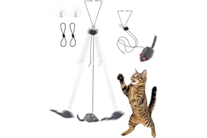 Paws Power Self Play Hanging Door Cat Mouse Toy - Interactive Cat Toys for Indoor Cats - Fun Hunting Exercise for Bored Adult Cats & Kittens - Top Hanging Cat Toy for Indoor Play (Extended Package)