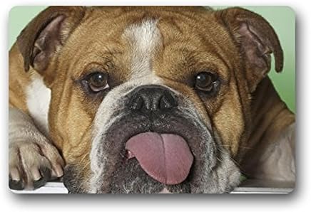 Heymat Novelty Design Custom Machine Washable Bulldog Indoor/Outdoor Doormat Bath Kitchen Decor Entryway Rug/Floor Mat 23.6 X 15.7 Inch
