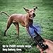 NUOSEM Dog Training Collar, Dog Shock Collar with Remote 2500ft Range with Beep Vibra Shock LED Light Waterproof IPX7 Electric Dog Bark Collar for Medium Large Dogsthumb 4