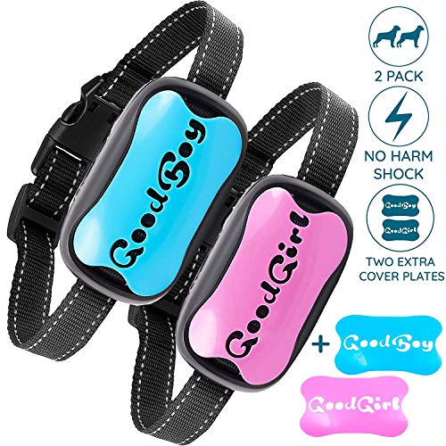GoodBoy Two-Pack Bundle of No Bark Static Shock Collar for All Medium and Large Dogs – Control Your Pet’s Unwanted Barking with This Anti Bark Training Device