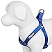 Blueberry Pet Essentials Step-in Dog Harness, Small Size | Adjustable Royal Blue Vest | Classic Solid Nylon for Boy & Girl Dogs, Chest Girth 16.5