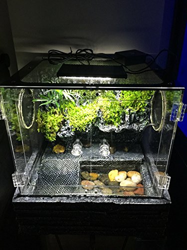 Hoke Day/Night LED Light Hood for Terrarium, White and Blue LEDs