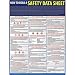 How to Read A Safety Data Sheet (SDS) Poster - 18" x 24"