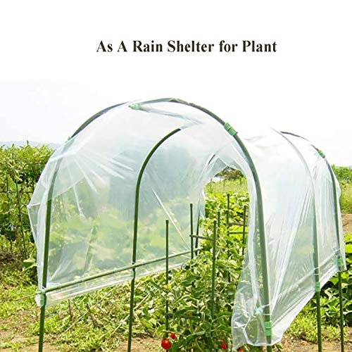 AITREASURE 10ft × 20ft Greenhouse Film 6.3 mil Garden Clear Polyethylene Plastic Covers 160 GSM for Greenhouse Plants Windproof Frost& Dust Proof (one Pack)