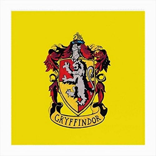 Gryffindor Harry Potter Glasses Cloth (Medium, Two Sides)