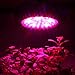 Apollo Horticulture GL60LED Full Spectrum 180W LED Grow Light for Plant Growing