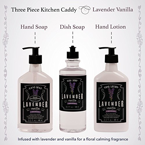 Liquid Soap and Lotion Kitchen Caddy Tri Coastal Design Silver Wire