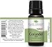 Plant Therapy Coriander Seed Essential Oil 10 mL (1/3 oz) 100% Pure, Undiluted, Therapeutic Grade