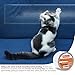 XFasten Anti-Scratch Cat Training Tape, 3-Inches x 30-Yards - Door, Couch, Furniture and Leather Scratch Guard Protector Tape for Cats and Pets